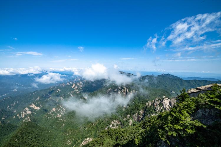 中国花生信息网（中国花生信息平台介绍）