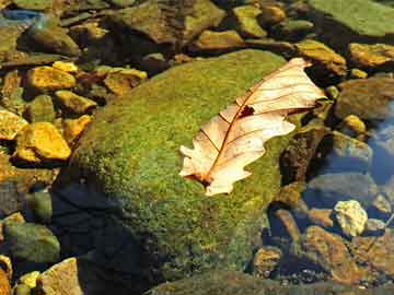 ancients（Exploring the Ancient World）